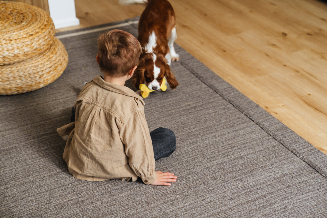 Child playing with his dog on Memory Foam Rugs