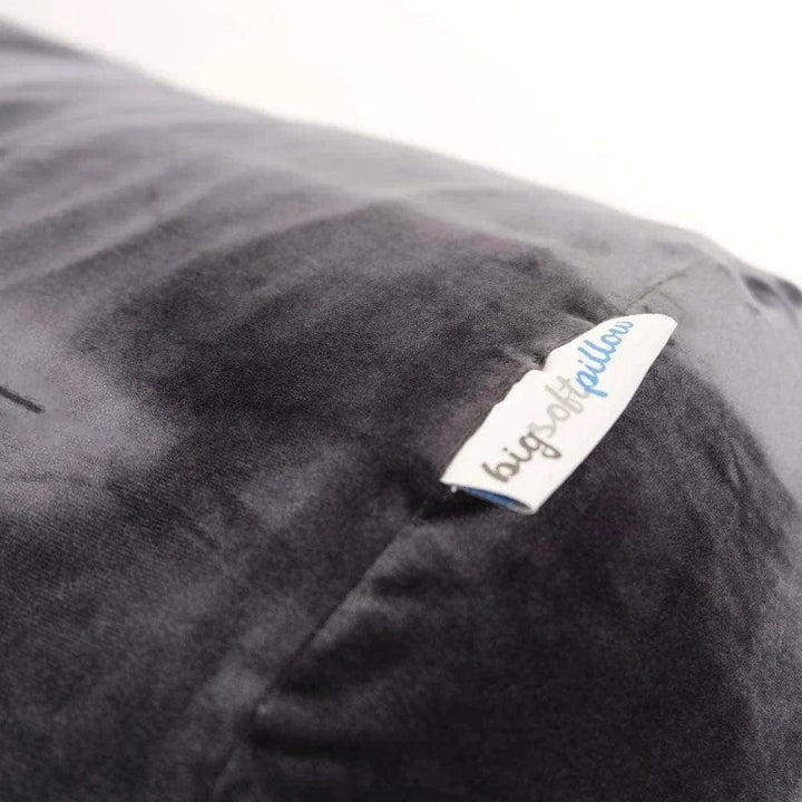 Neptune Blanket pillow The Neptune Big Soft Pillow