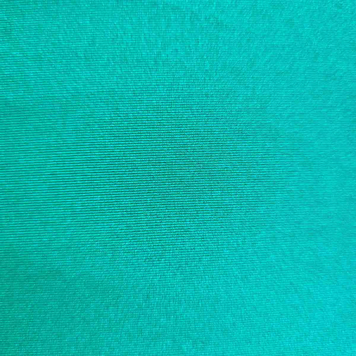 Sensory Support Resistance Band Small / Shimmer Green Lycra Stretchy Bands
