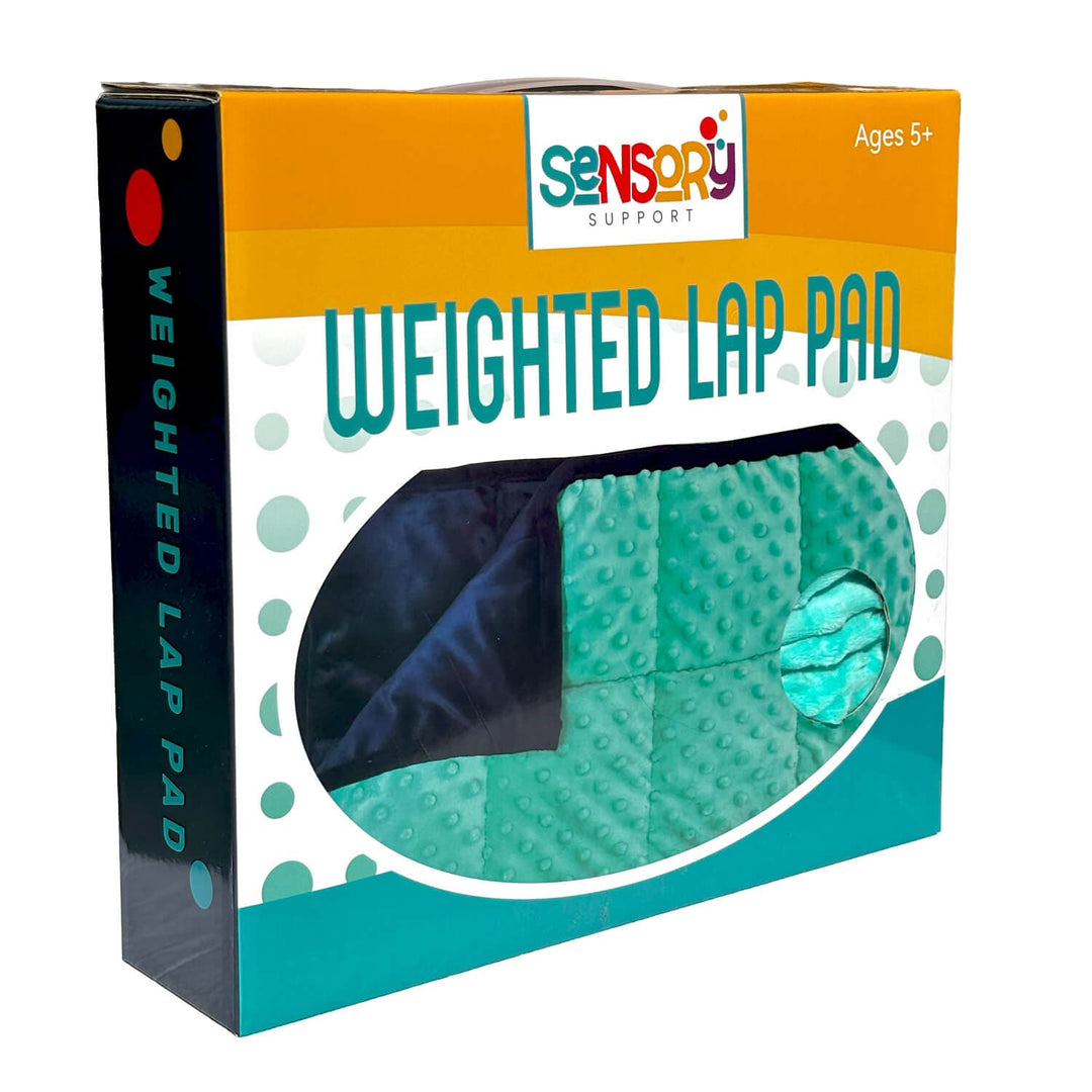 5 sensory products for car trips - weighted lap pad, fidget kit, chew necklace, ear defenders