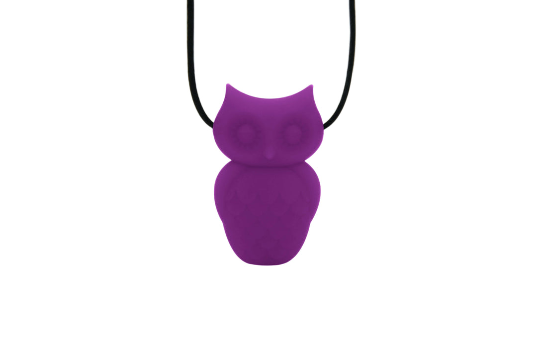 Jellystone Designs Chew Necklace Purple Grape Owl Pendant Chew Necklace