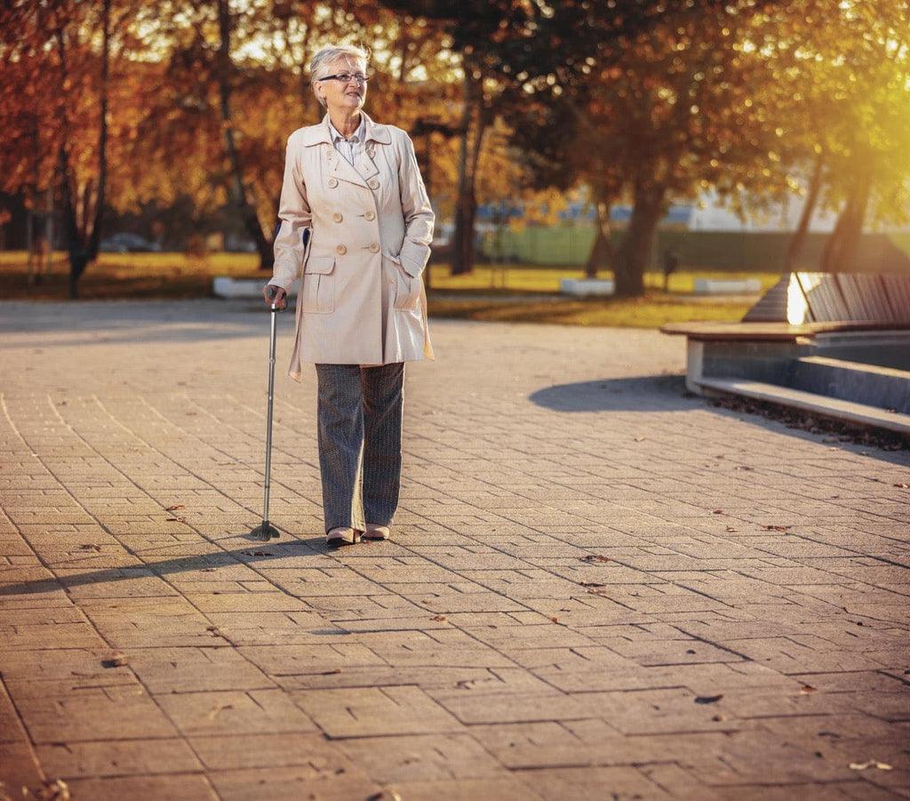 Quintro Healthcare Crutches & Canes Stander Wonder Cane